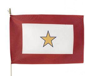 GOLD STAR FLAG